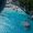 Aerial view of Xigia Beach Zakynthos with tourists swimming in turquoise sulfur waters